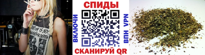 blacksprut как войти Полтавская Бутират буратино