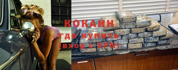 дживик Алзамай